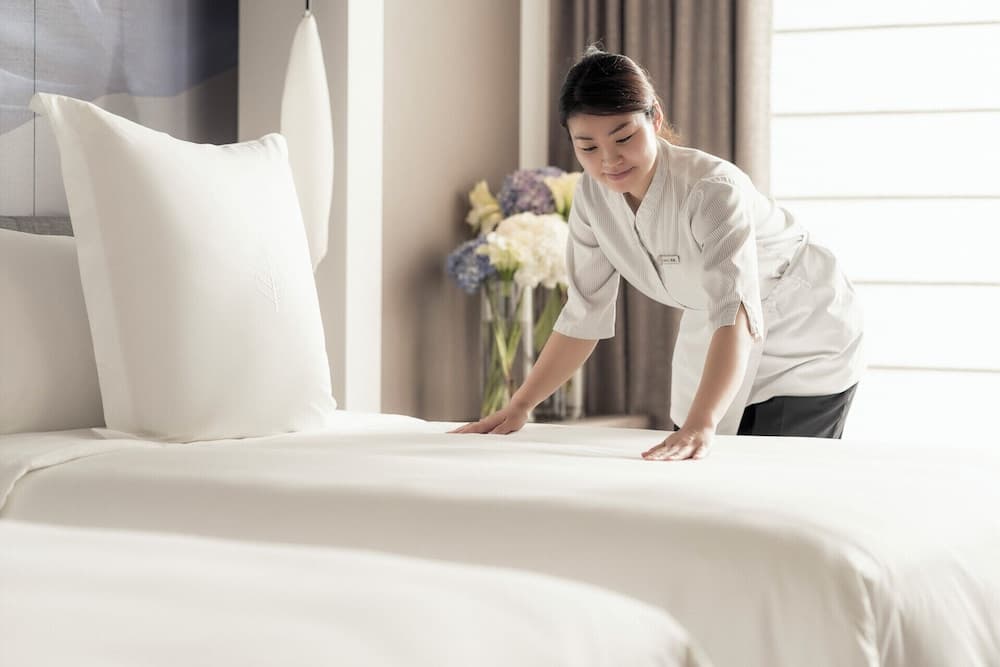 Cleanliness standards