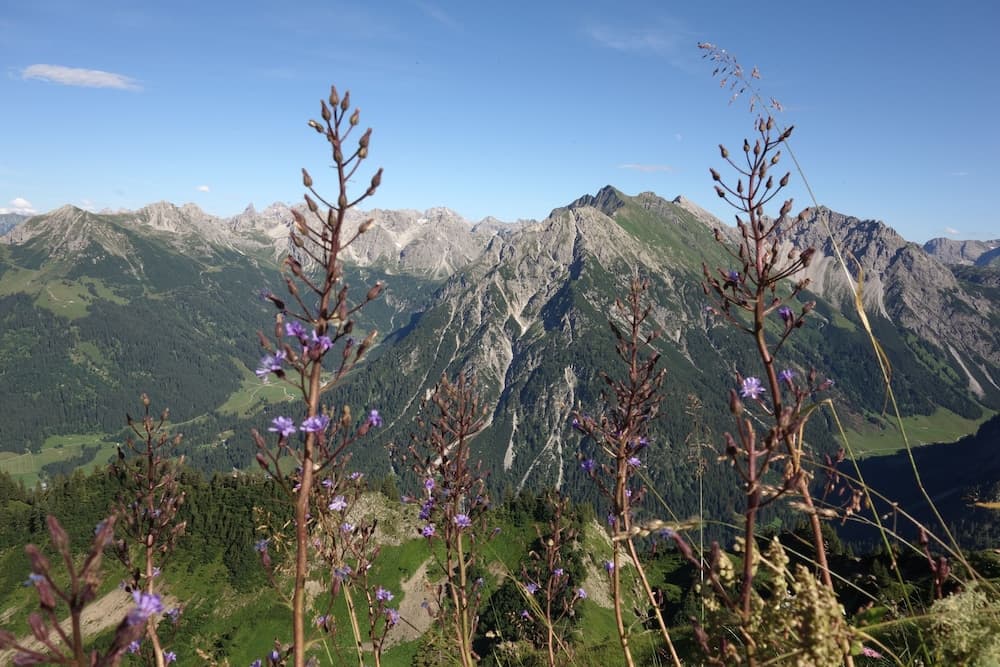 Hiking