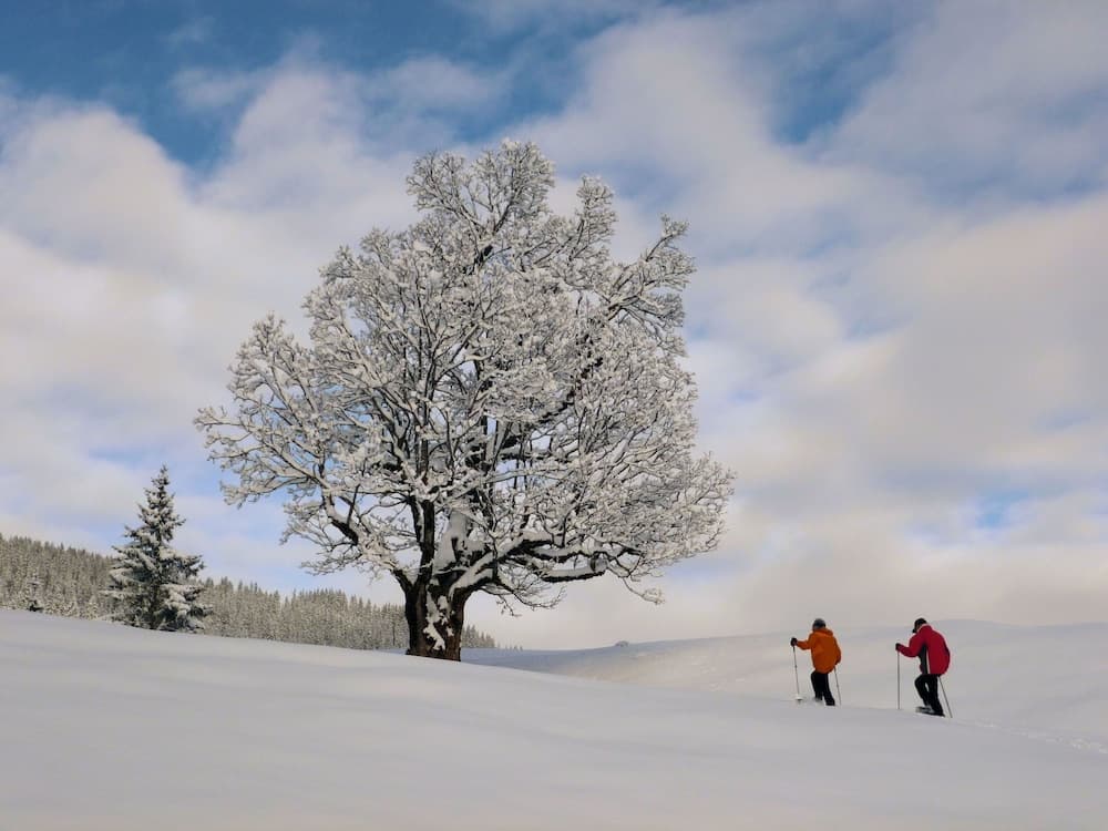 Snow and ski sports