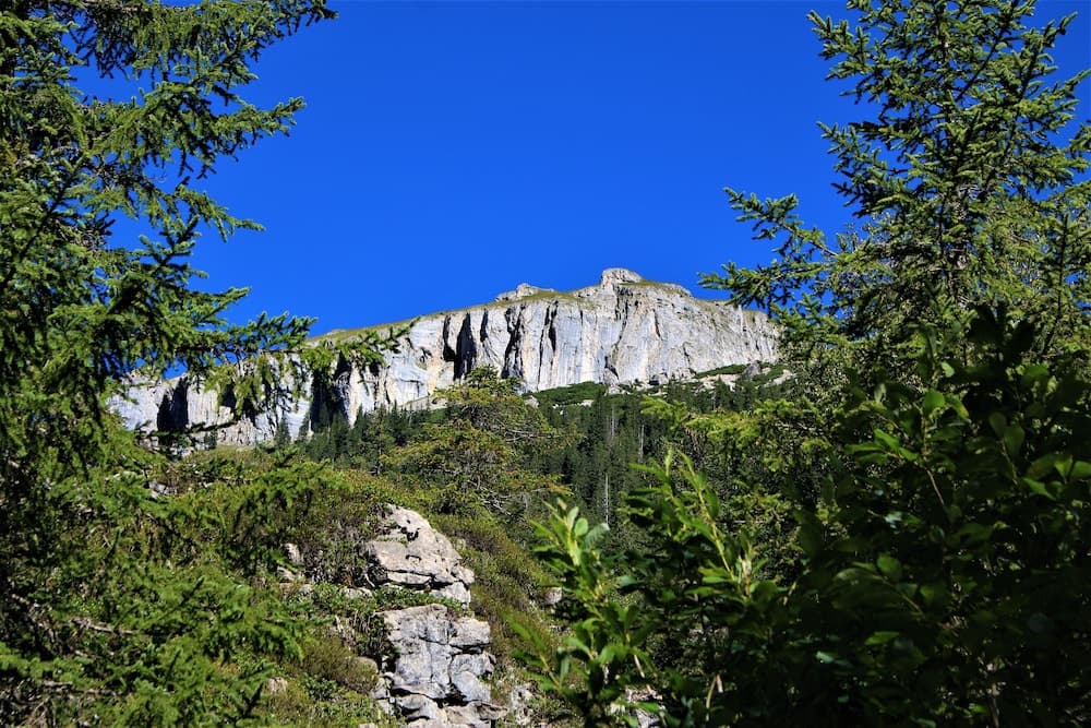 Hiking