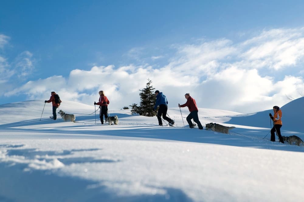 Snow and ski sports