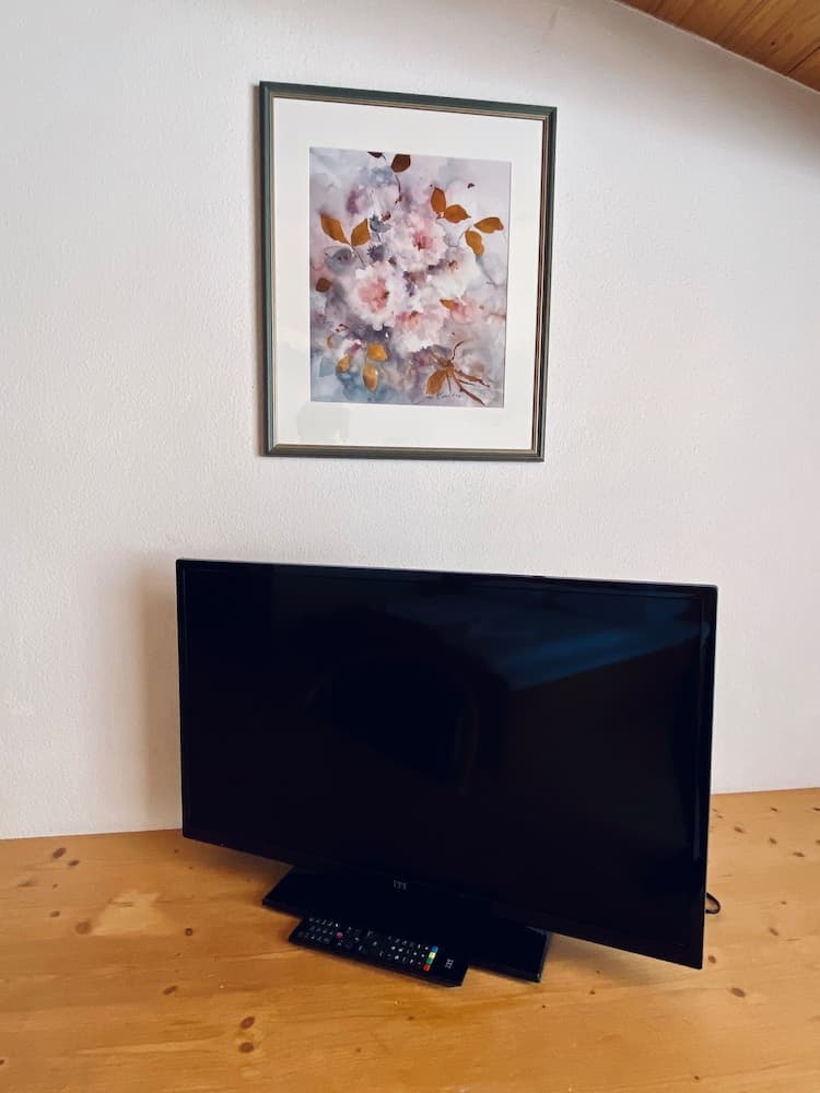 Television