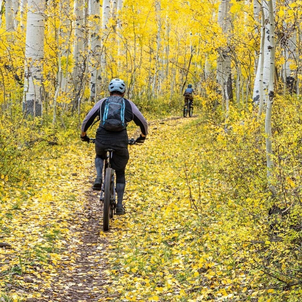Bicycling