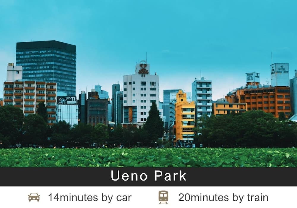 City view from property