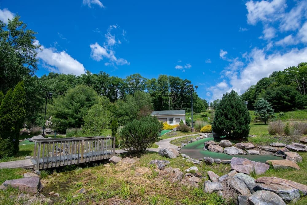 Mini-golf