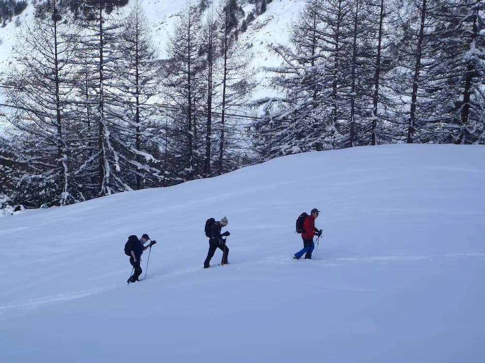 Snow and ski sports