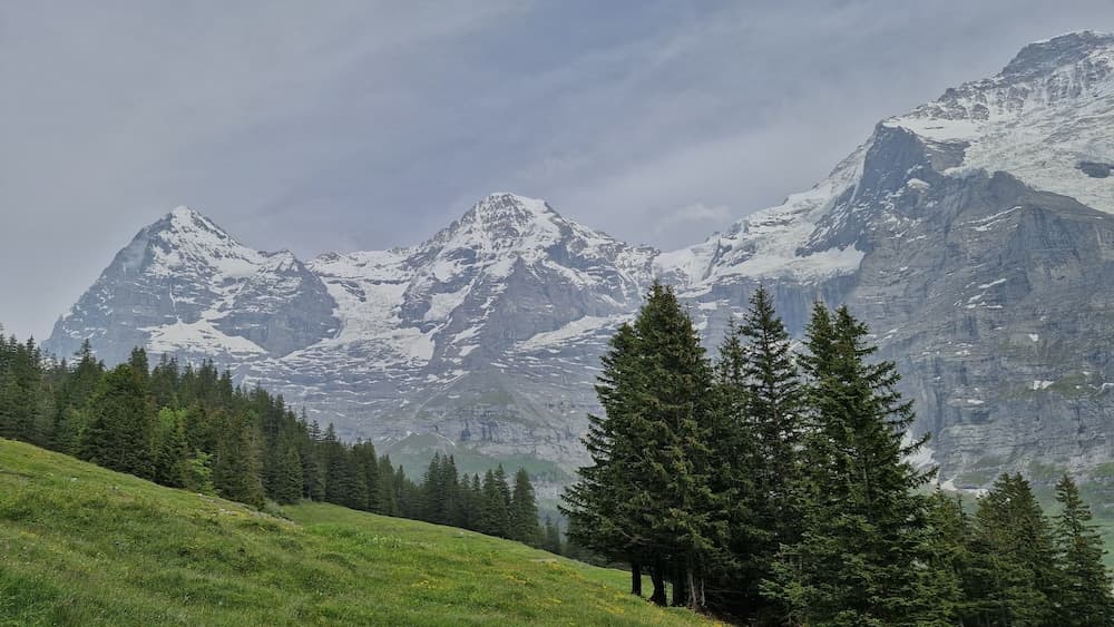 Hiking