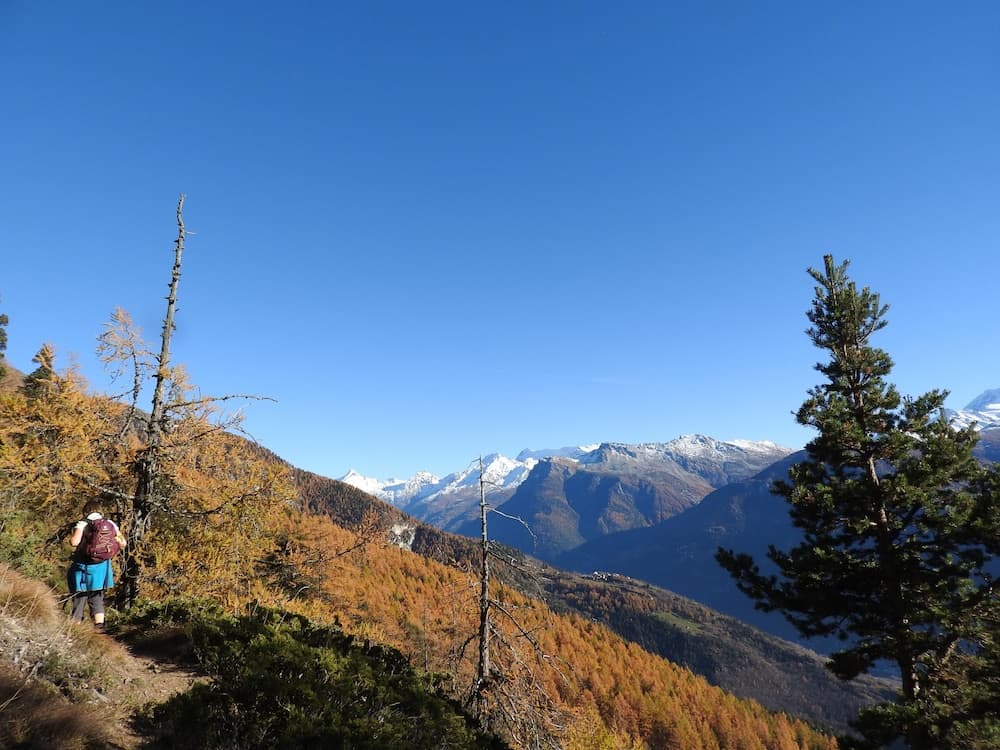 Hiking