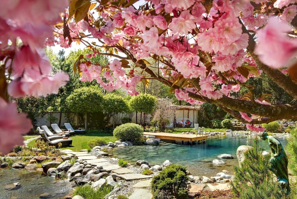 Japanese garden