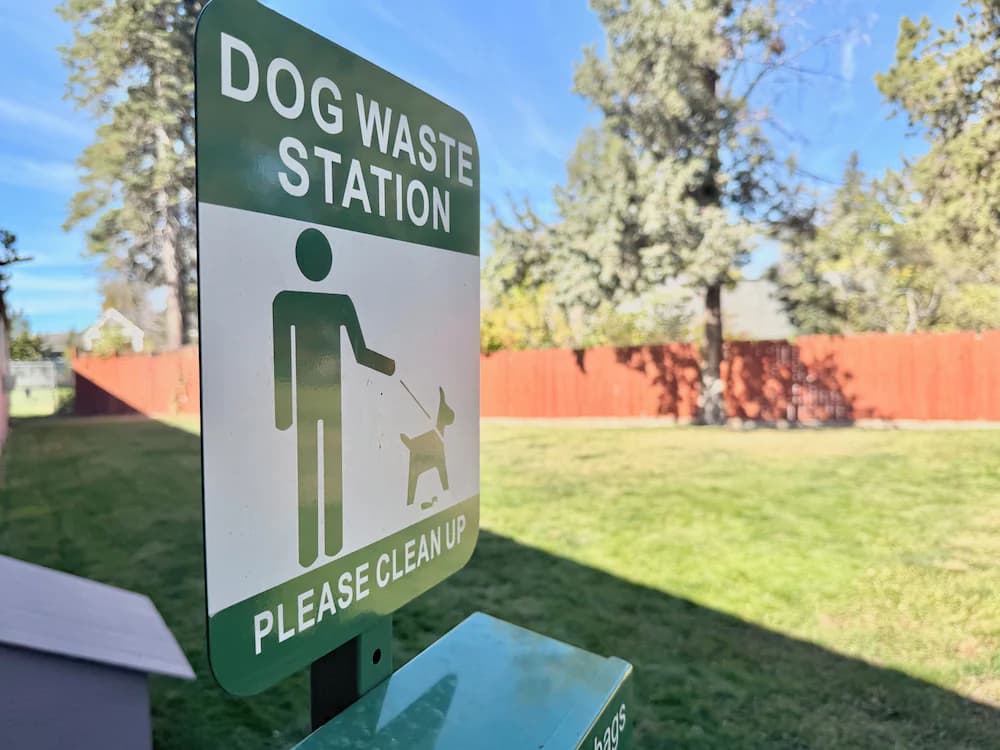 Pet-friendly amenities