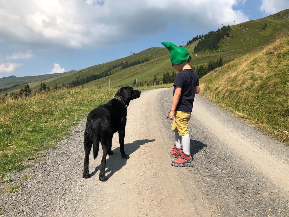 Pet-friendly