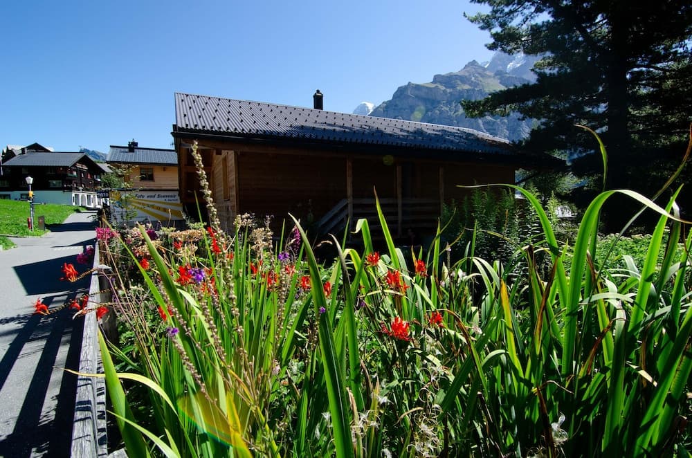 Garden view