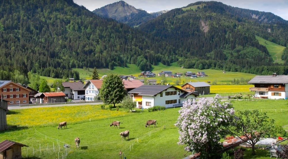 Mountain view