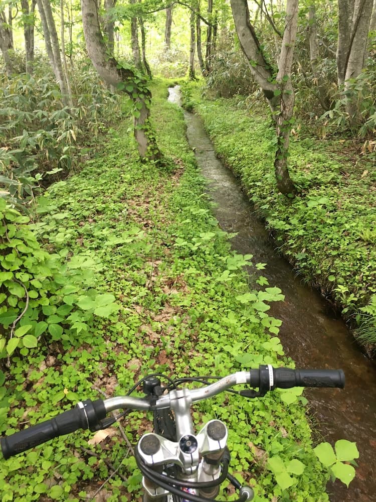Bicycling