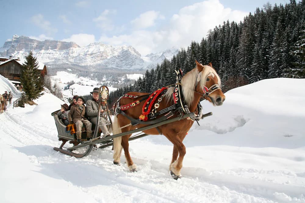 Snow and ski sports