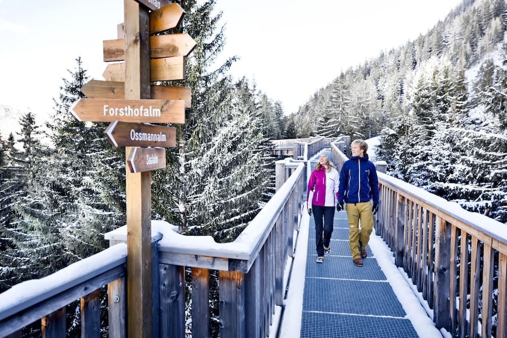Snowshoeing