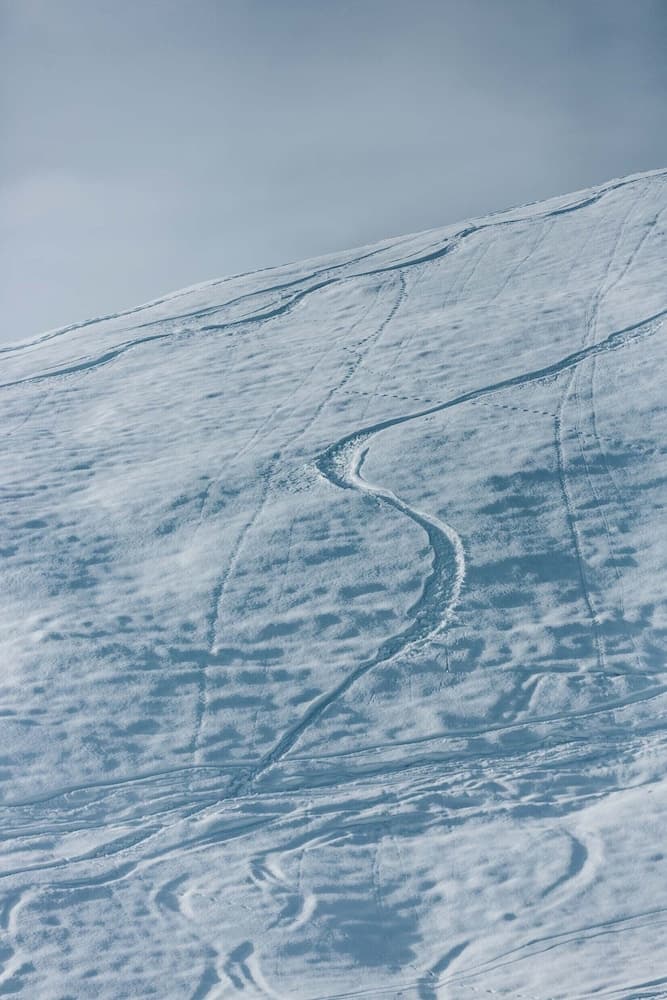 Skiing