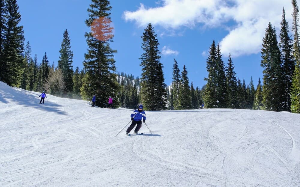 Skiing