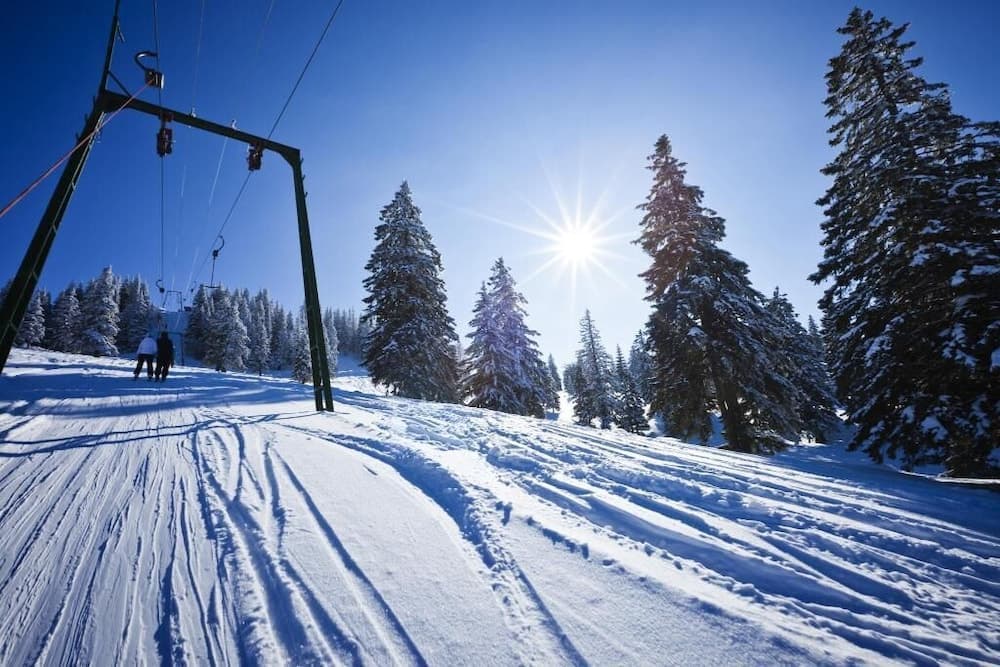 Snow and ski sports