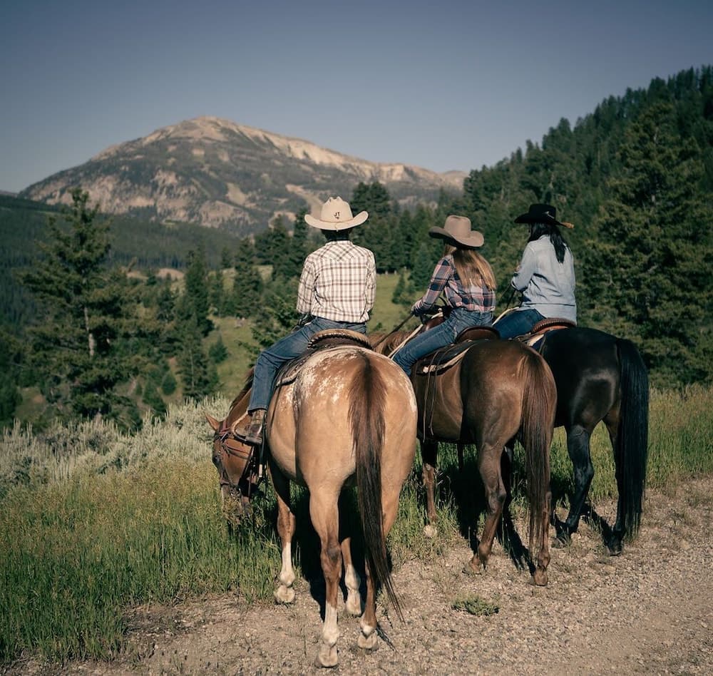 Horseback riding