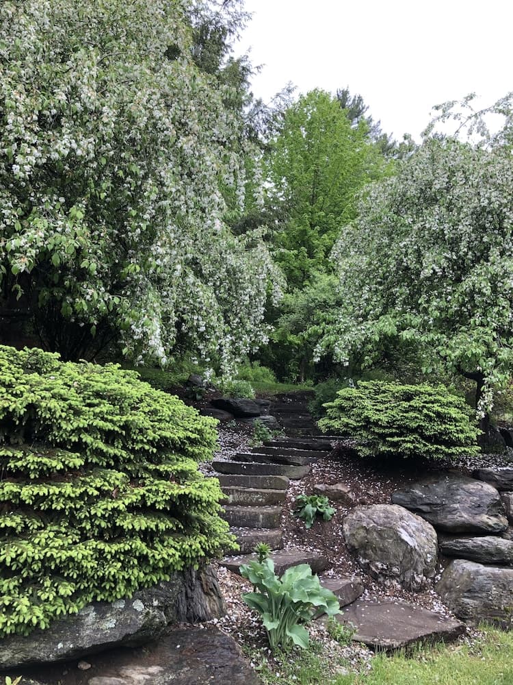 Garden view