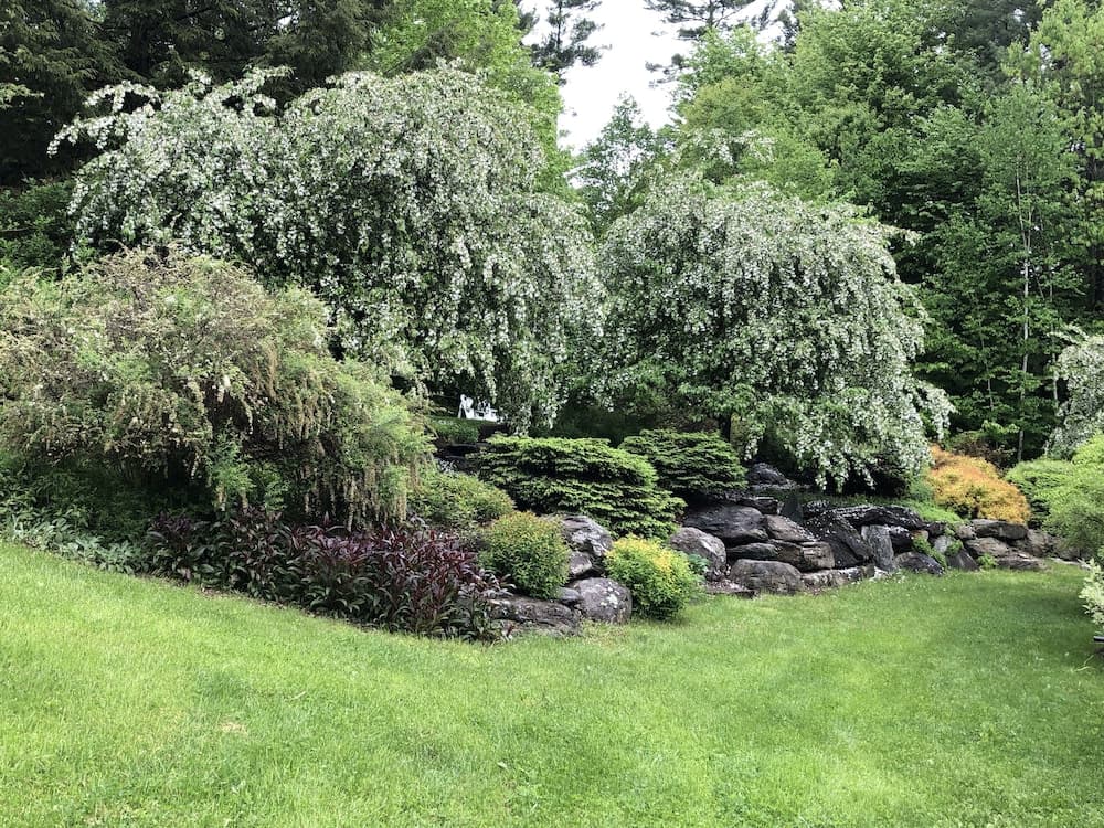 Garden view