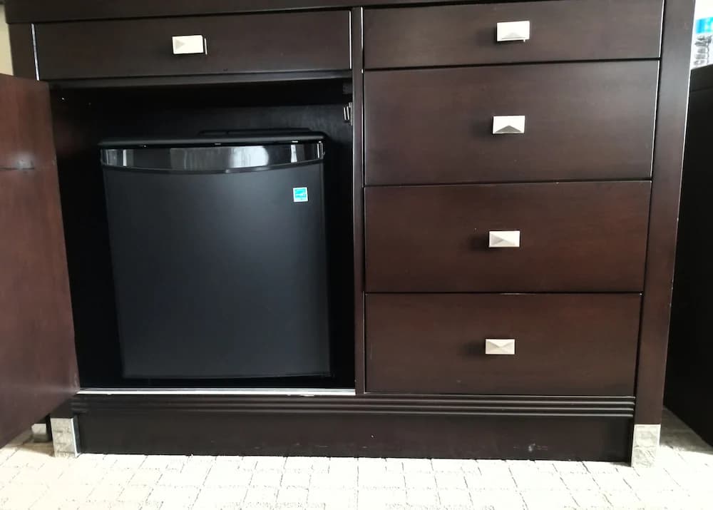 Mini-refrigerator