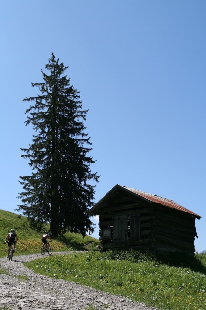 Bicycling