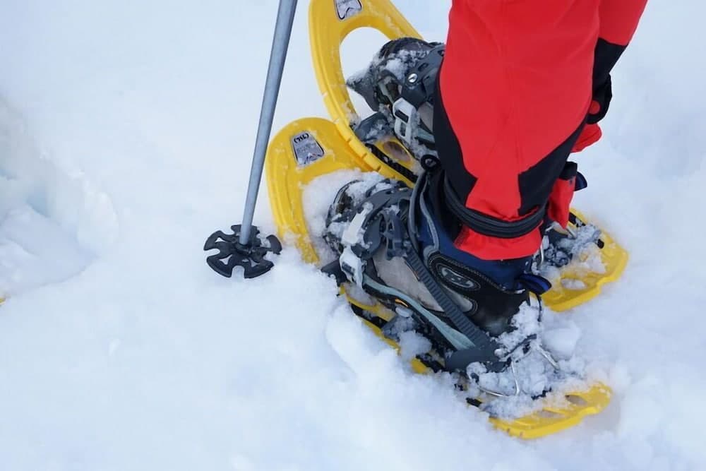 Snowshoeing