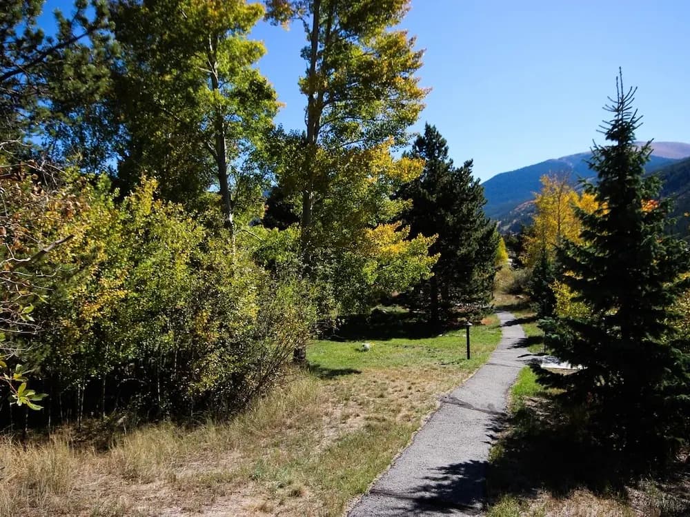Mountain view