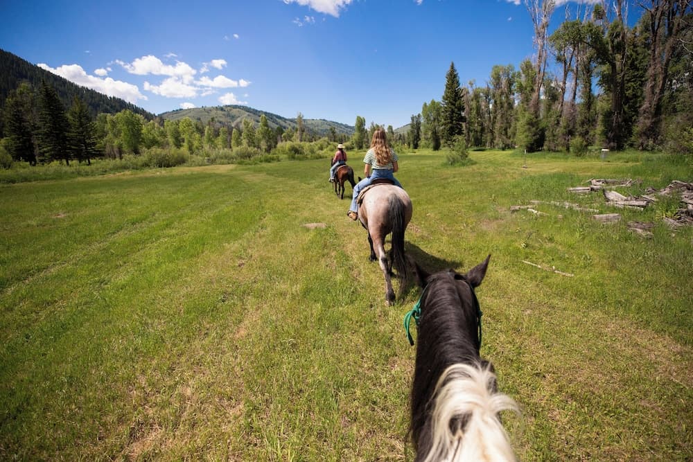 Horseback riding