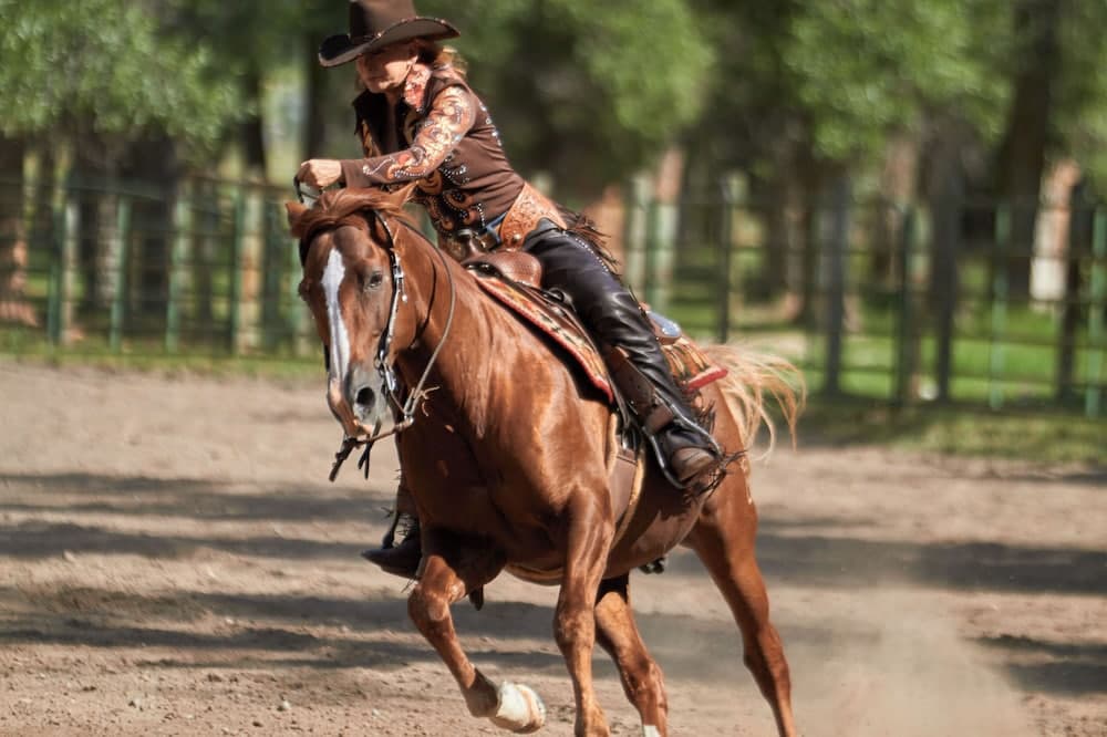 Horseback riding