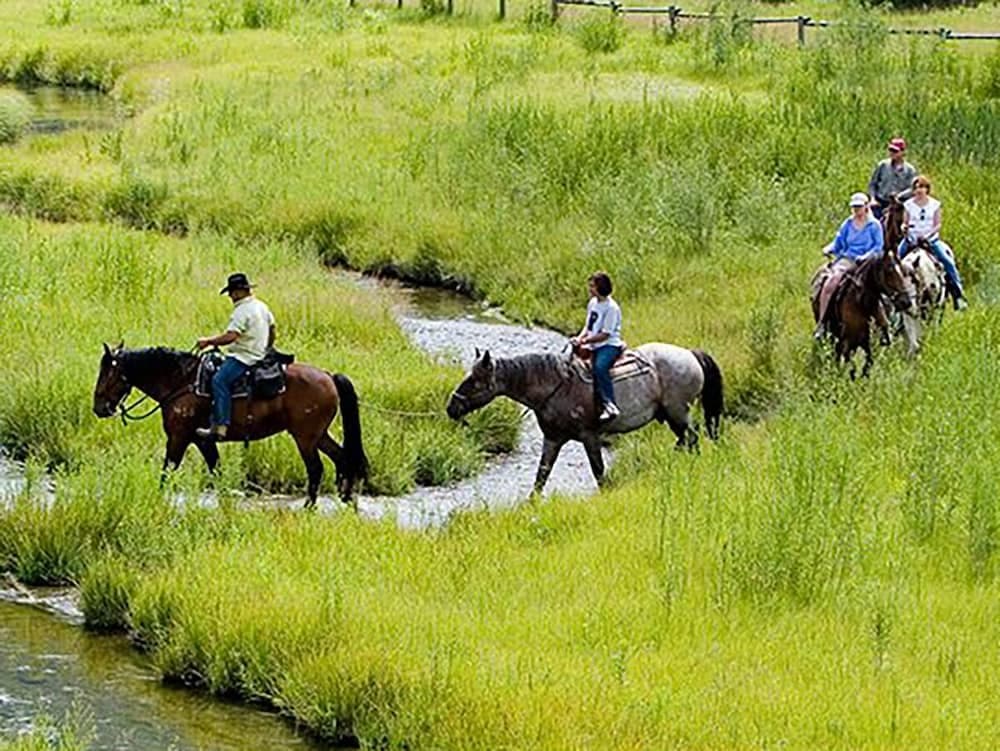 Horseback riding