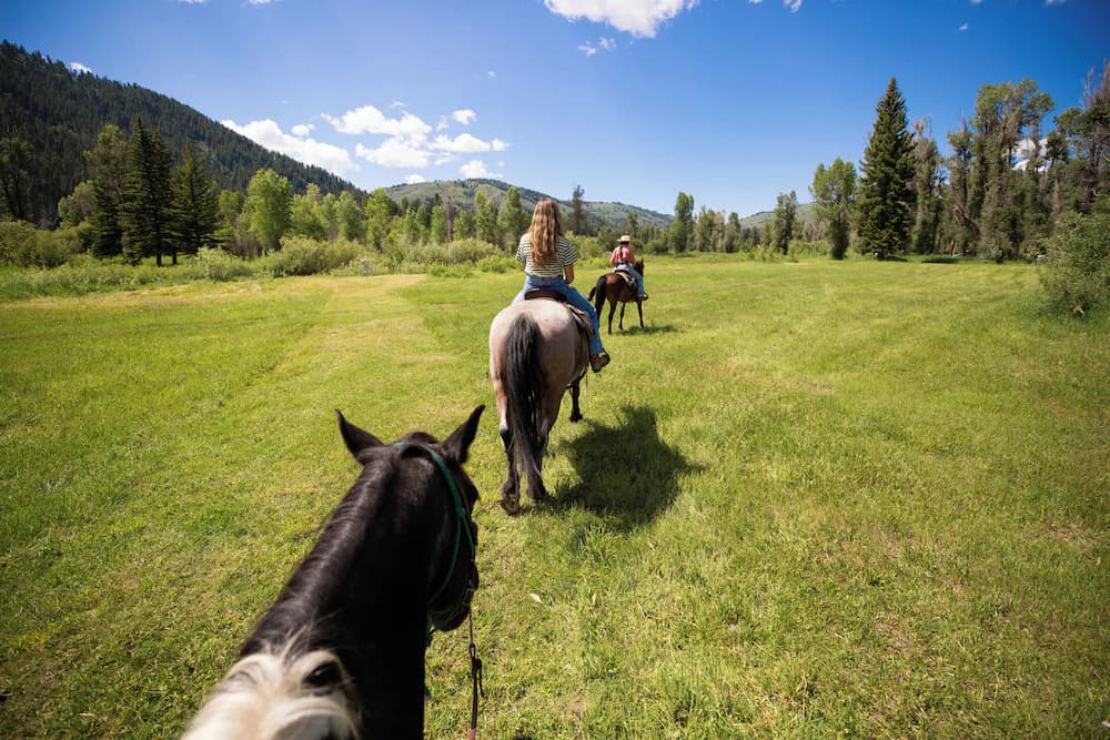 Horseback riding