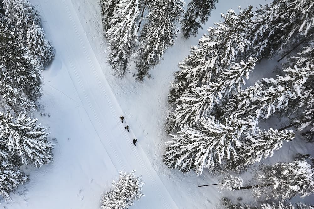 Snow and ski sports