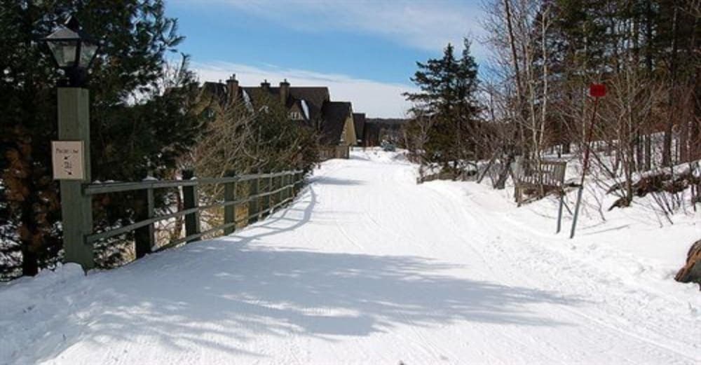 Skiing