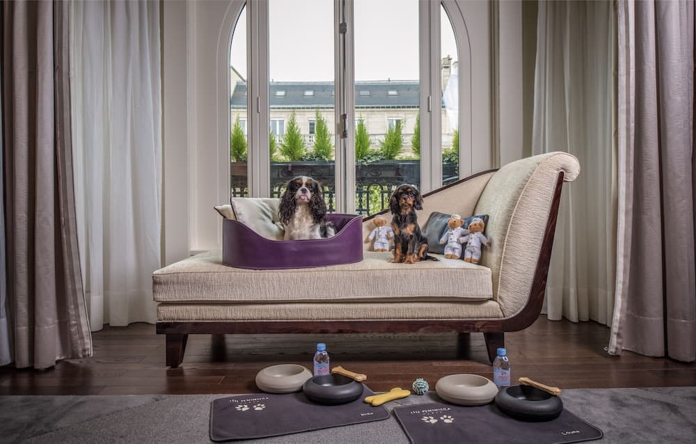 Pet-friendly