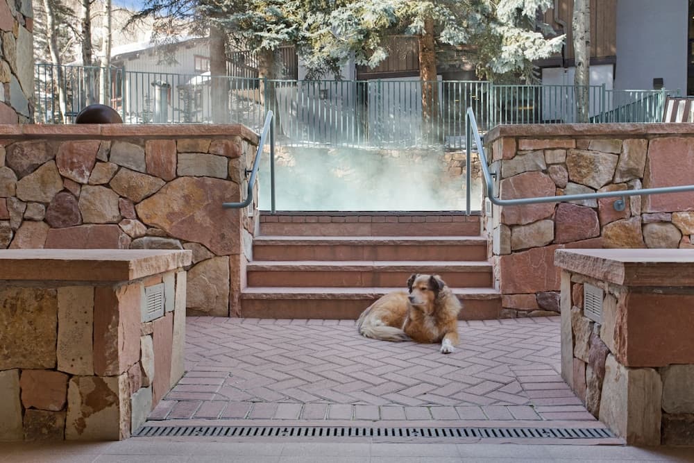Pet-friendly