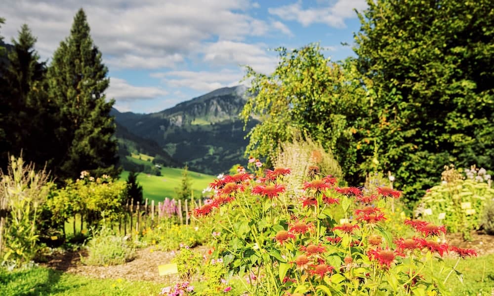 Land view from property