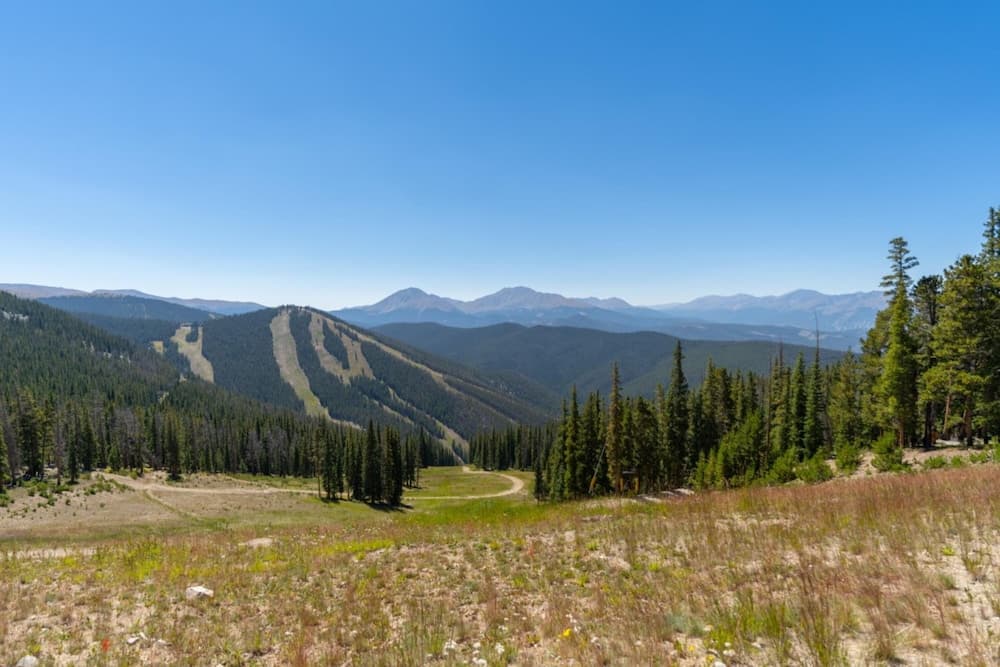 Mountain view