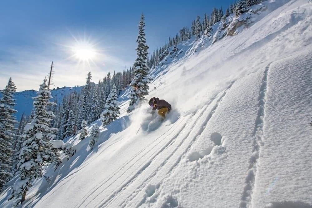Skiing