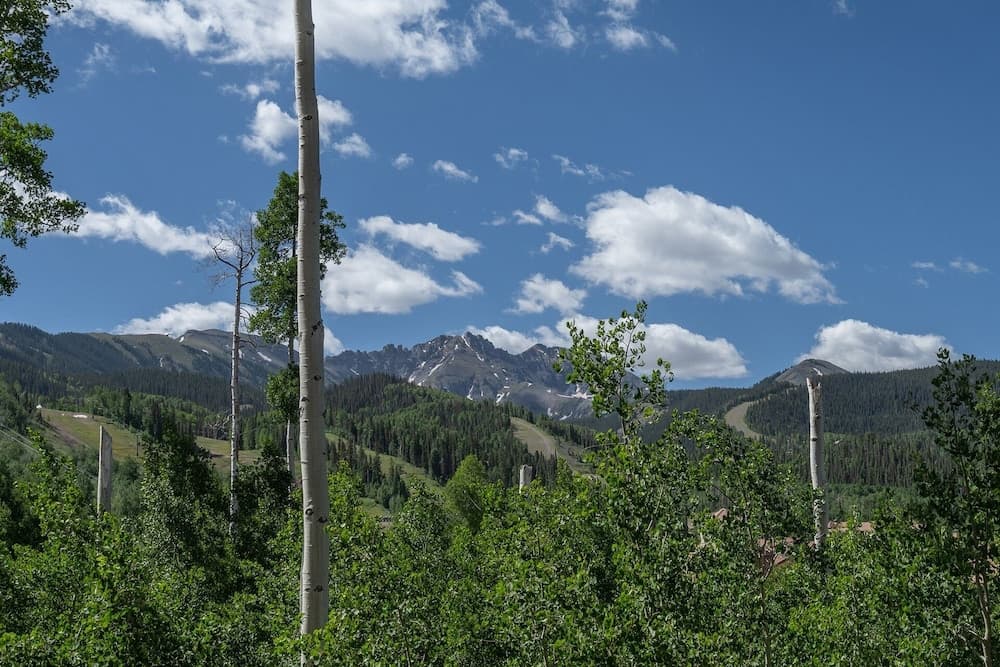 Mountain view