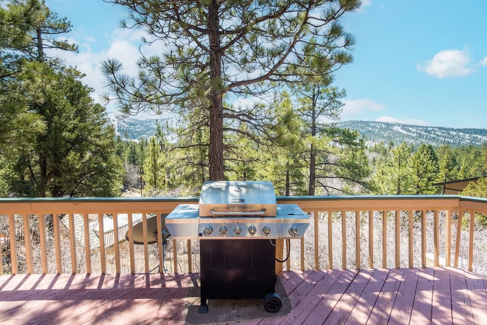 BBQ/picnic area