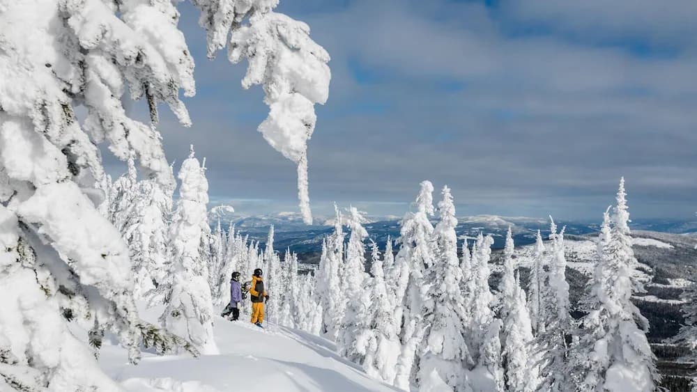 Snow and ski sports
