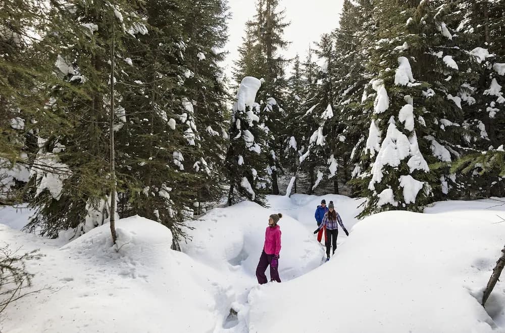 Snow and ski sports