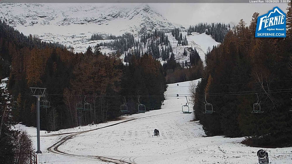 Fernie: Lizard View from Great Bear