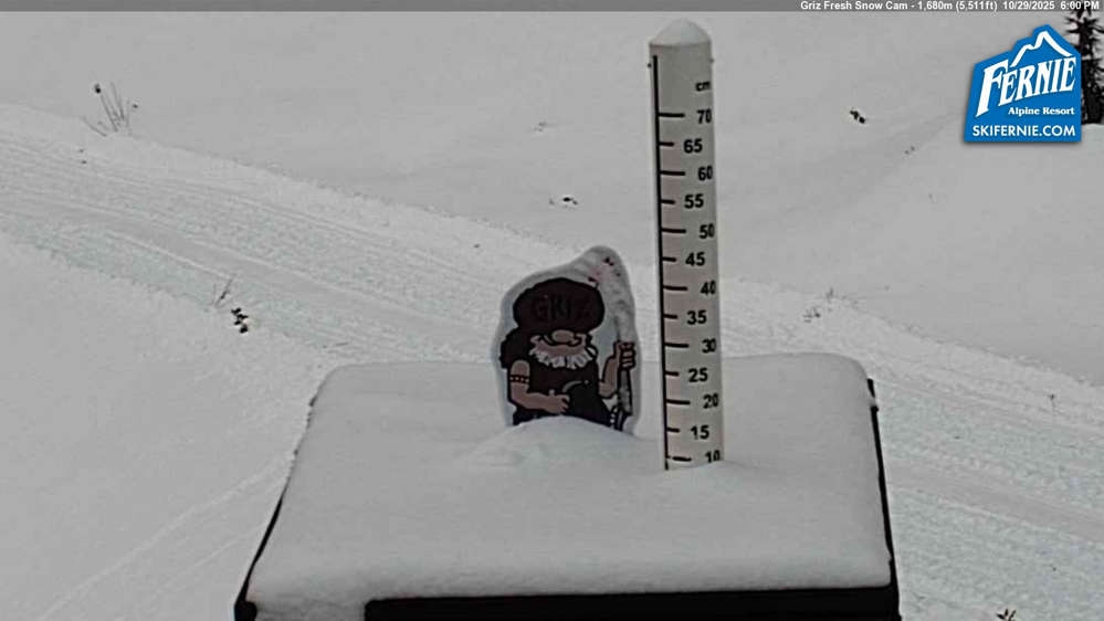 Fernie: Griz Fresh Snow Cam