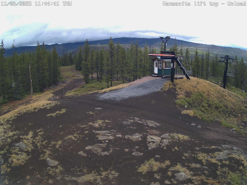 Hoodoo Manzanita Chair