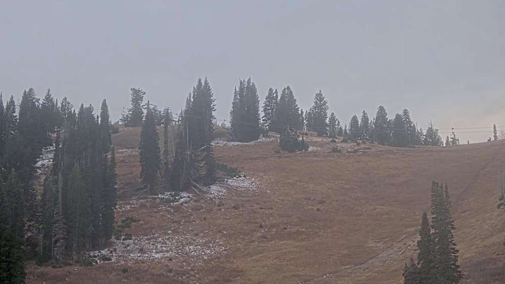 Solitude: Sunshine Bowl Cam