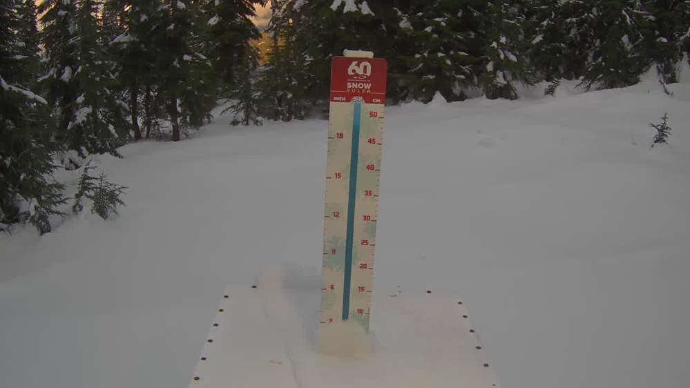 Whistler Snow Stake